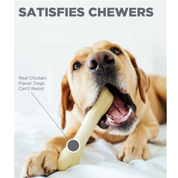 NWT set of 4 Petstages Chick-A-Bone dog bone chew chicken flavor Size small - Picture 3 of 6